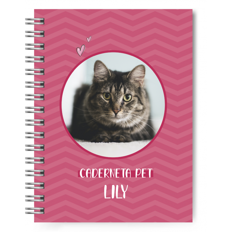 Caderneta Pet Gato (com foto)  #3
