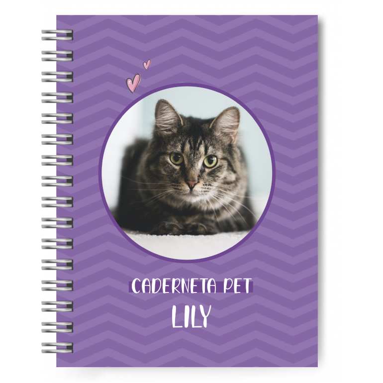 Caderneta Pet Gato (com foto)  #3
